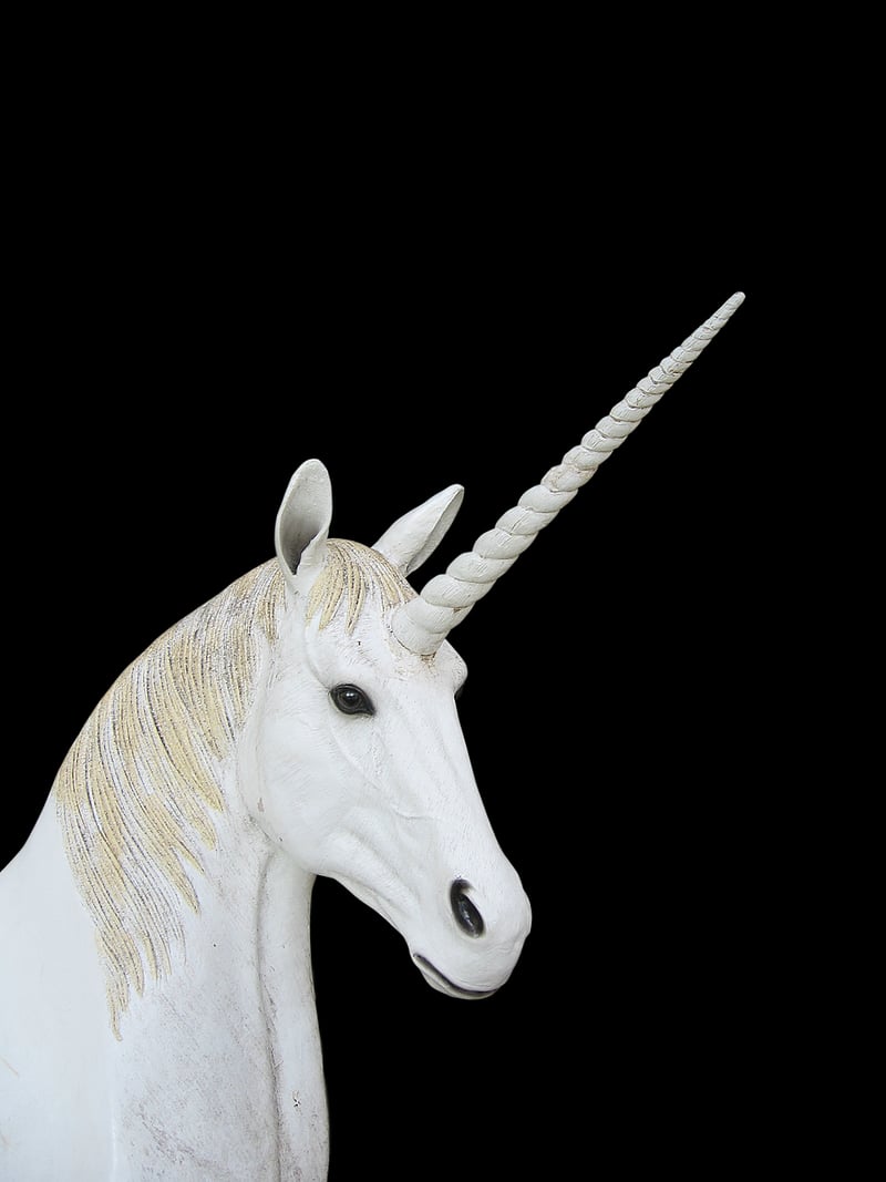 Fantasy Accessories Image